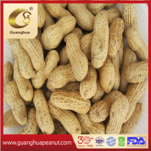 New Crop Long Type/Round Type Peanut in Shell From China